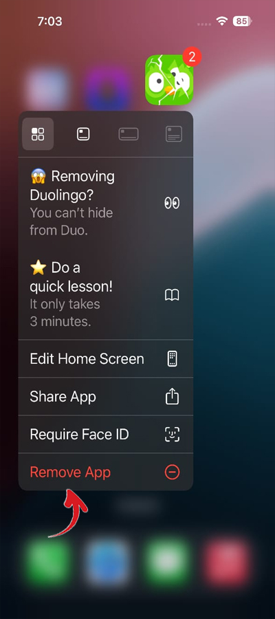 Duolingo Gems Missing Issue