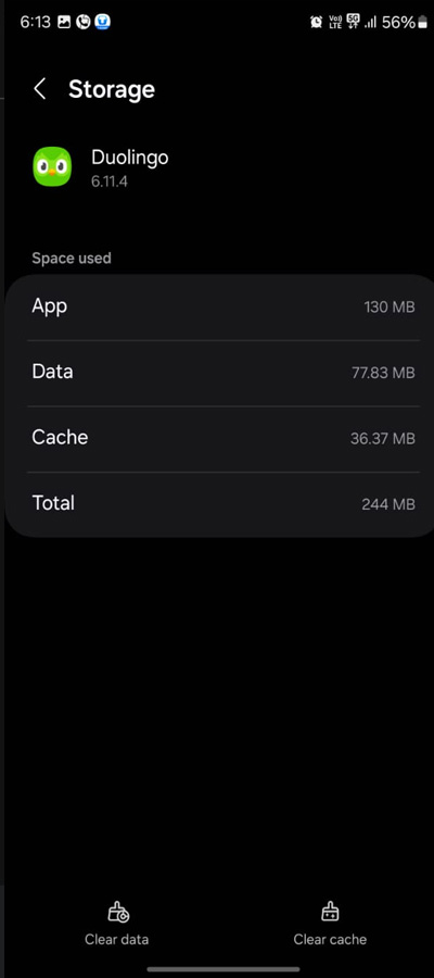 Duolingo mic not working