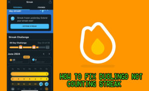 How to Fix Duolingo Not Counting Streak (2026) » Lingoly.io