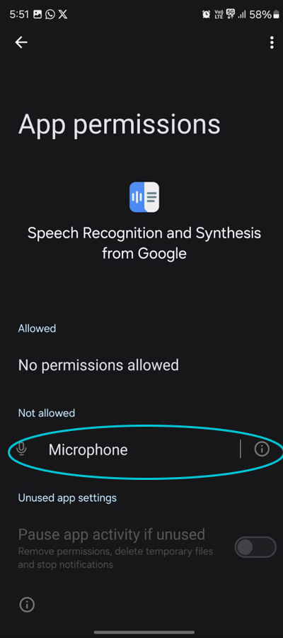Duolingo mic not working